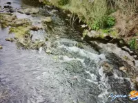 Miniature 8 - Terrain Banyuls-sur-Mer