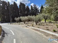 Miniature 3 - Terrain Elne