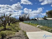 Miniature 3 - Terrain Elne