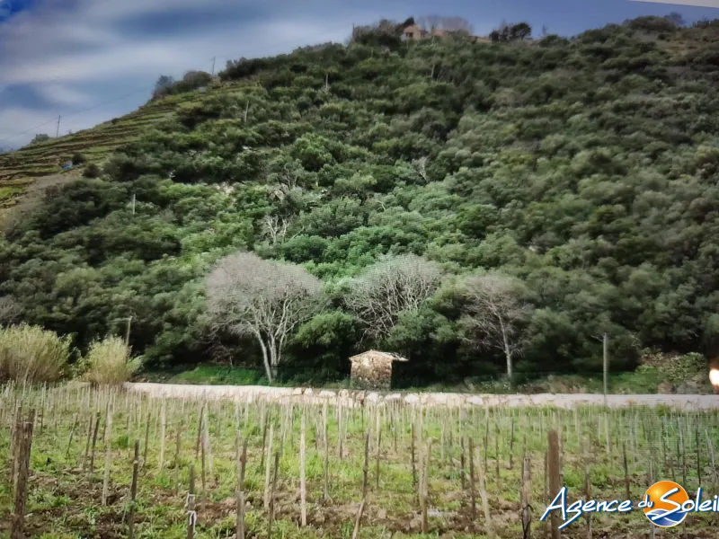 Terrain à vendre à Banyuls-sur-Mer - 4 000 m2