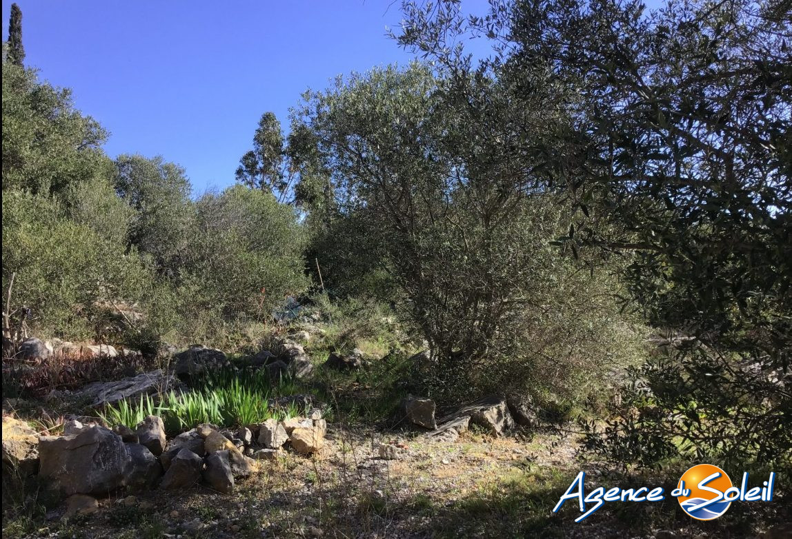 Terrain en vente à La Palme - Agence du Soleil (Réf. 15-11710-AGENCEDUSOLEIL)