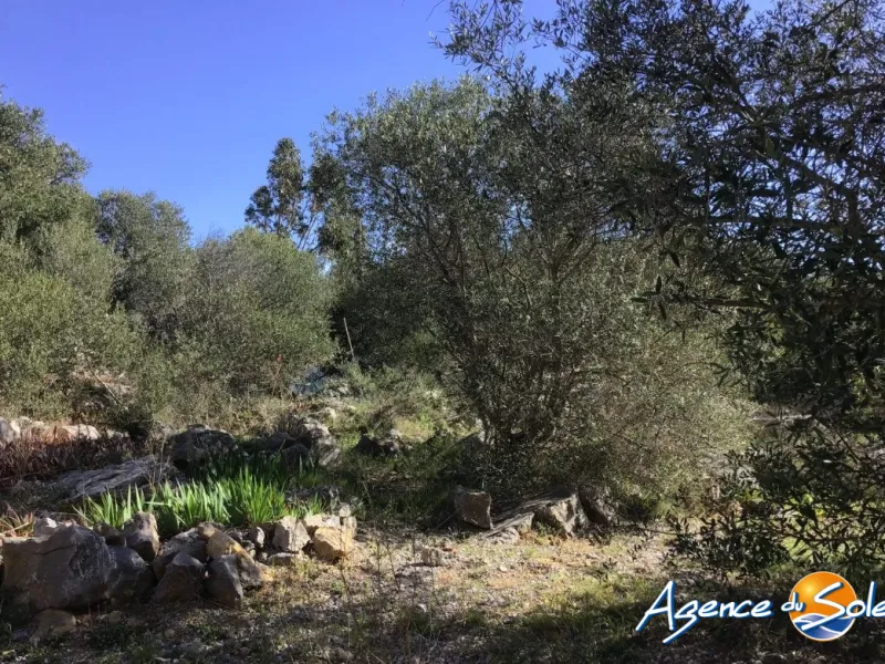 Terrain à vendre à La Palme - 729 m2