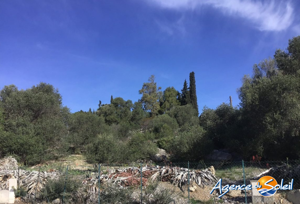 Vue intérieure - Terrain La Palme (Réf. 15-11710-AGENCEDUSOLEIL)