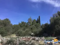 Miniature 2 - Terrain La Palme